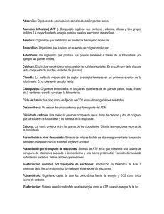 Absorción: El proceso de acumulación, como la absorción por las