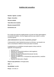 Análisis del urocultivo