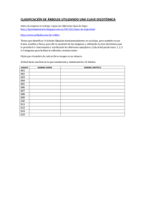 CLASIFICACIÓN DE ÁRBOLES UTILIZANDO UNA CLAVE DICOTÓMICA