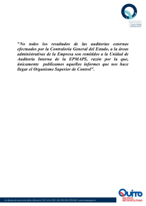 textoauditoriainterna.pdf