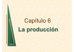 cap 6 la produccion