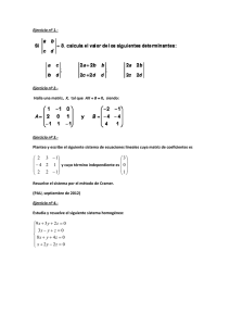 MODELO Examen Determiantes y Cramer 191817 071213 2609