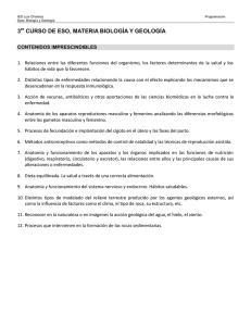 Contenidos imprescindibles