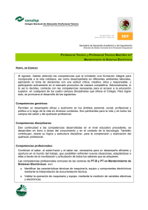 PERFIL E MantenimientodeSistemasElectronicos