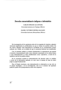 Derecho consuetudinario indígena e informática