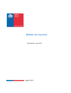 1379356081boletin_insumos_julio_2013.pdf