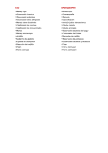 - Prácticas de Laboratorio