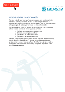 Higiene Dental y odontología