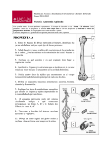 PROPUESTA A  Anatomía Aplicada