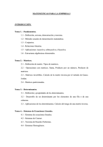 Matemáticas para la Empresa I