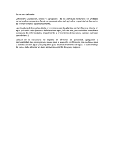 Estructura del suelo.pdf
