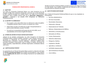 Información general sobre la FPB
