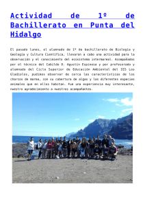 Actividad de 1º Bachillerato  en  Punta  del