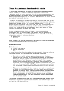 La función más importante de los riñones es conservar las... interno. Constituyen el sistema excretor más importante. Tienen función