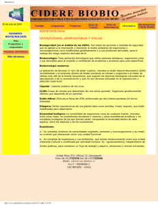 Glosario de Biotecnología: Definiciones y Términos Clave