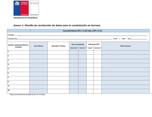 Ir a Pauta de evaluación