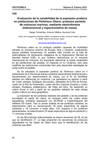 pro30.pdf