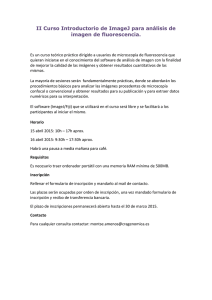 Documento resumen