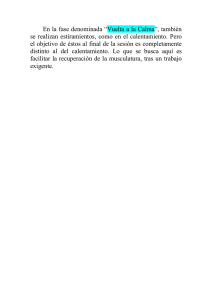 Vuelta a la Calma: Estiramientos y Recuperación Muscular