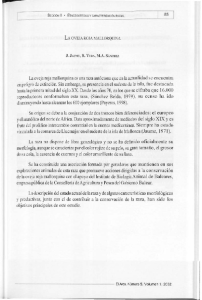 arca02.72.pdf