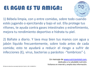 El Agua es tu amiga (afiche educativo)