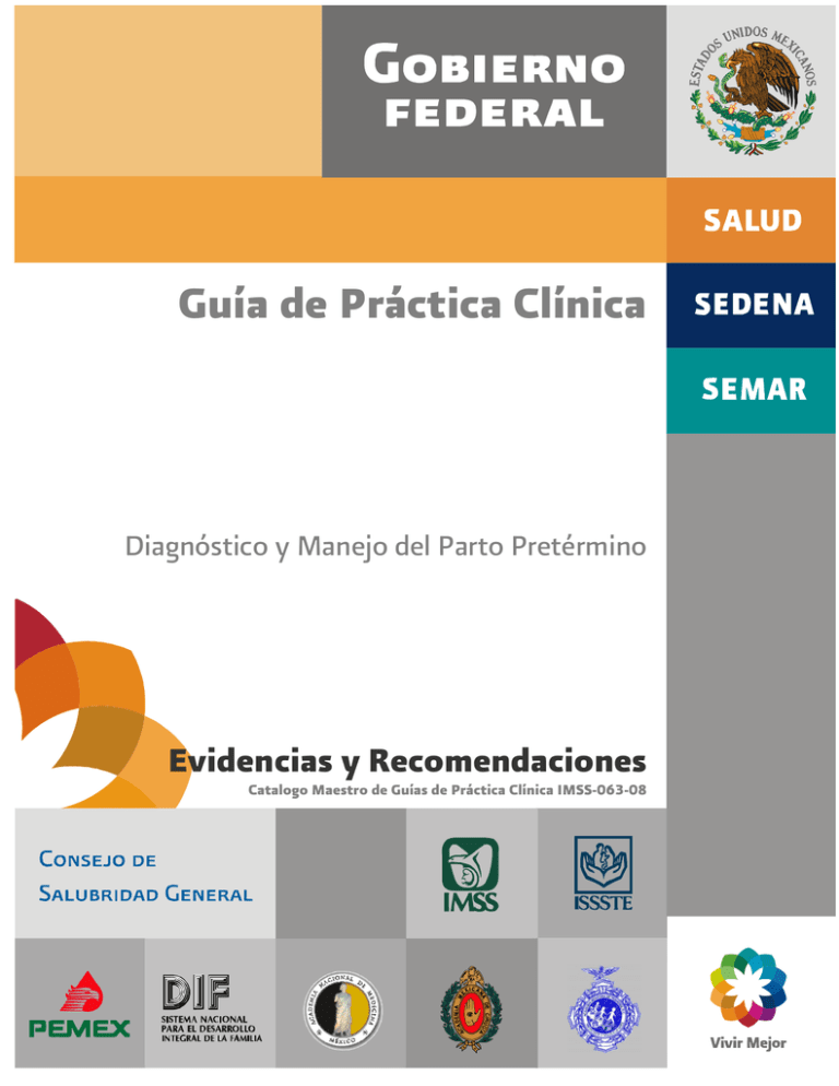 Guía De Práctica Clínica Evidencias Y Recomendaciones