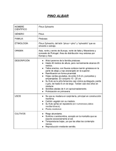CUADRO.pdf