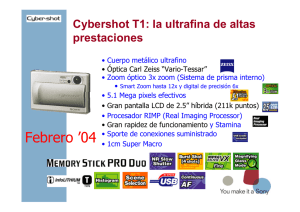 [DSC-T1]