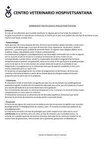 PSEUDOGESTACION