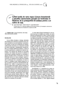 Control tardio de rama negra previo a soja.pdf