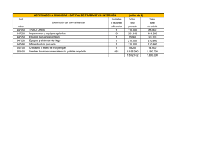ACTIVIDADES A FINANCIAR - CAPITAL DE TRABAJO Y/O INVERSIÓN  ...