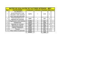 MATRIZ DE EVALUACIÓN DE FACTORES INTERNOS - MEFI