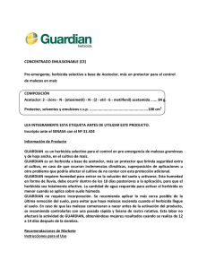 Documento2440985 2440985