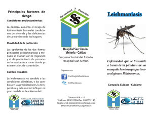 Descargar el archivo para mayor información Tipo de archivo: pdf Tamaño: 430.6 kB