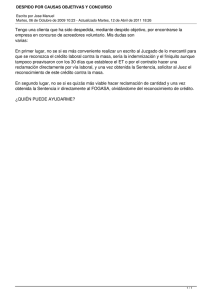DESPIDO POR CAUSAS OBJETIVAS Y CONCURSO