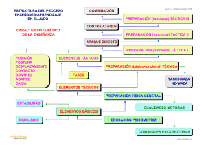Estructura proceso docente en el judo