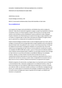 Texto informativo de la actividad