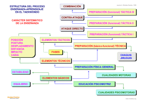 Estructura proceso docente Taek_cas