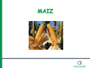 17 de Octubre de 2011-ComprasyVentas-ROE