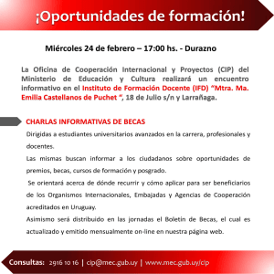 Afiche de la actividad