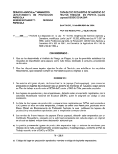 Requisitos de ingreso de frutos frescos de papaya desde Ecuador