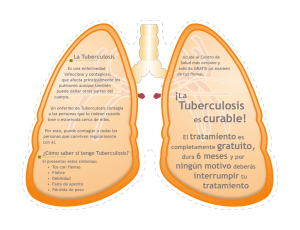 Pulmones VUELTA