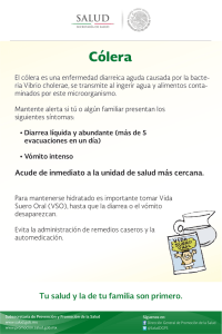 C lera cartel