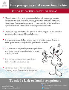 Saneamiento b sico 2