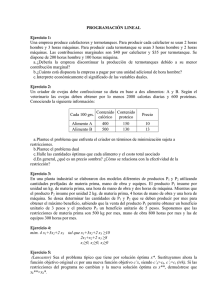 2008 - Guía de Programación Lineal