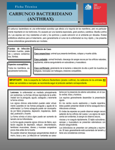 Carbunco bacteridiano