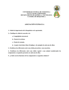 Primer Extraula 2015