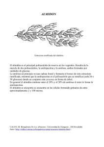 Almidon