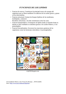 Lipidos.pdf