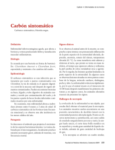04CarbonSintomatico.pdf